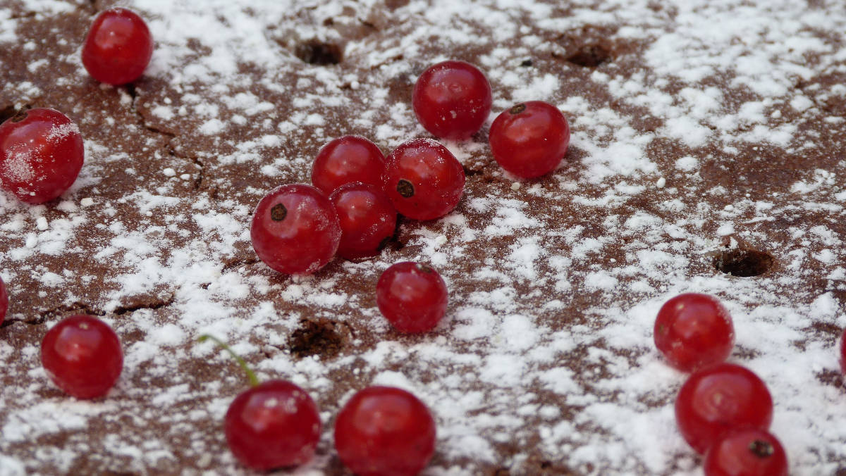 La d�inition d'un amis